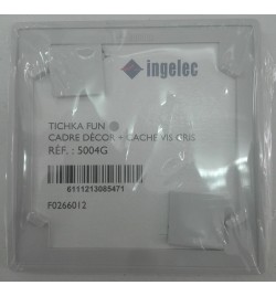 CADRE DECOR+CACHE VIS GRIS REF 5004G