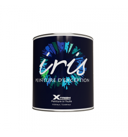 IRIS COLORS PEINT GLYC INT / EXT 1K NOIR